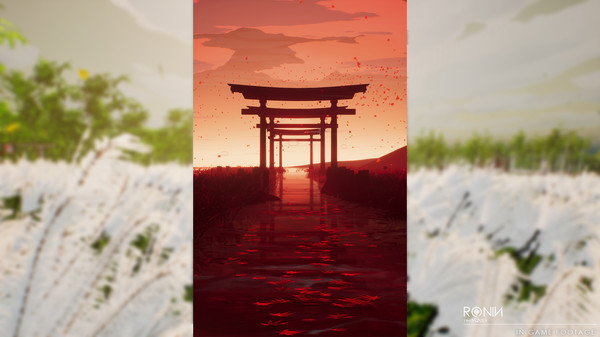 Ronin：Two Souls 中文版
