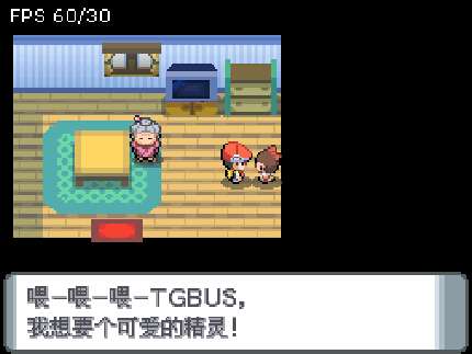 口袋妖怪：晶灿钻石 中文版