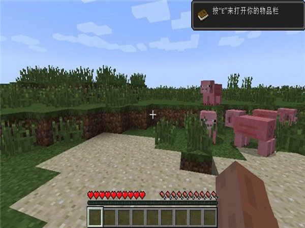我的世界1.16.220.51 中文版