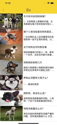 萌宠时尚屋