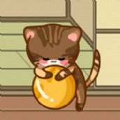 在线宠猫免费正版
