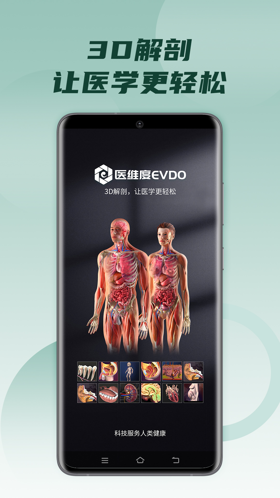 医维度解剖最新版下载