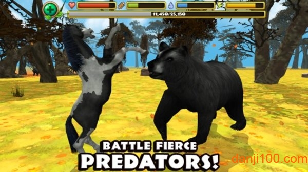 Horse Sim