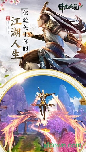 卧虎藏龙贰益玩版 卧虎藏龙贰益玩平台手游