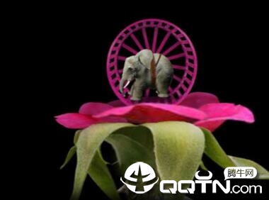 Mitoza(轮回游戏)