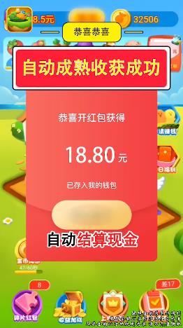 一号农场 一号农场