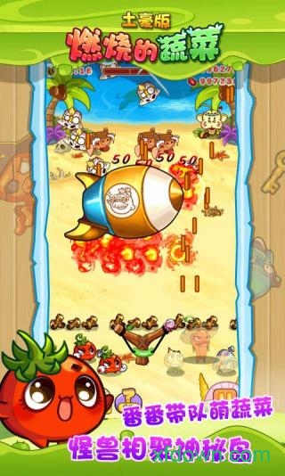 燃烧的蔬菜土豪版游戏